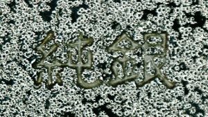 〔刻印〕丸形鴛鴦文ボンボニエール