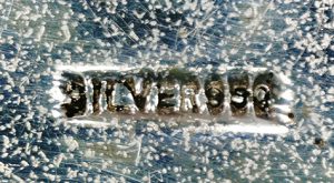 〔刻印〕扇形ボンボニエール