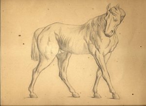 学習院生中等学科時代スケッチ