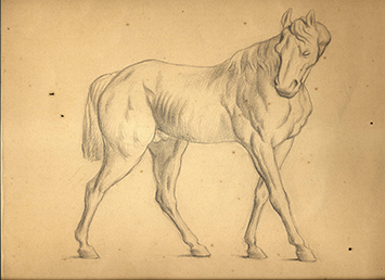 学習院生中等学科時代スケッチ